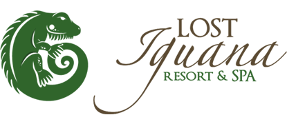 logo dark lost iguana